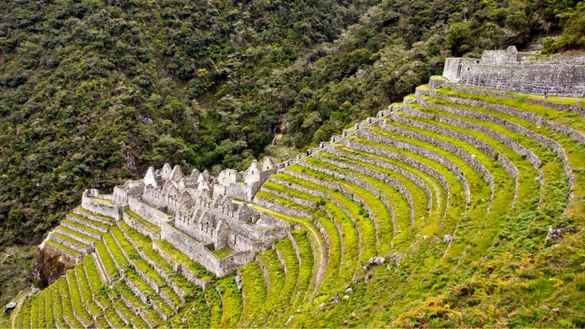 Wiñay Wayna: un tesoro arqueológico en el Camino Inca