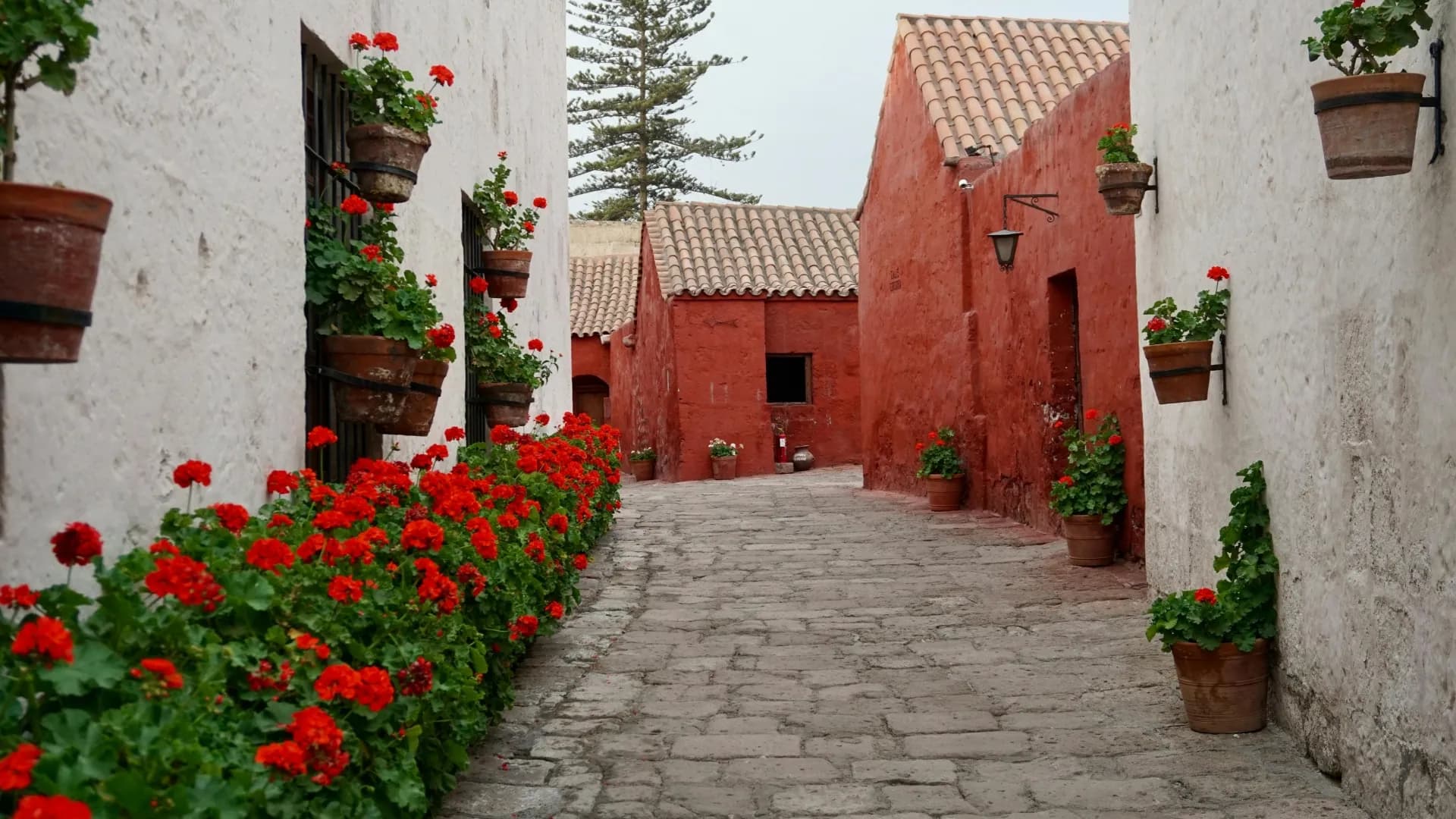 Santa Catalina