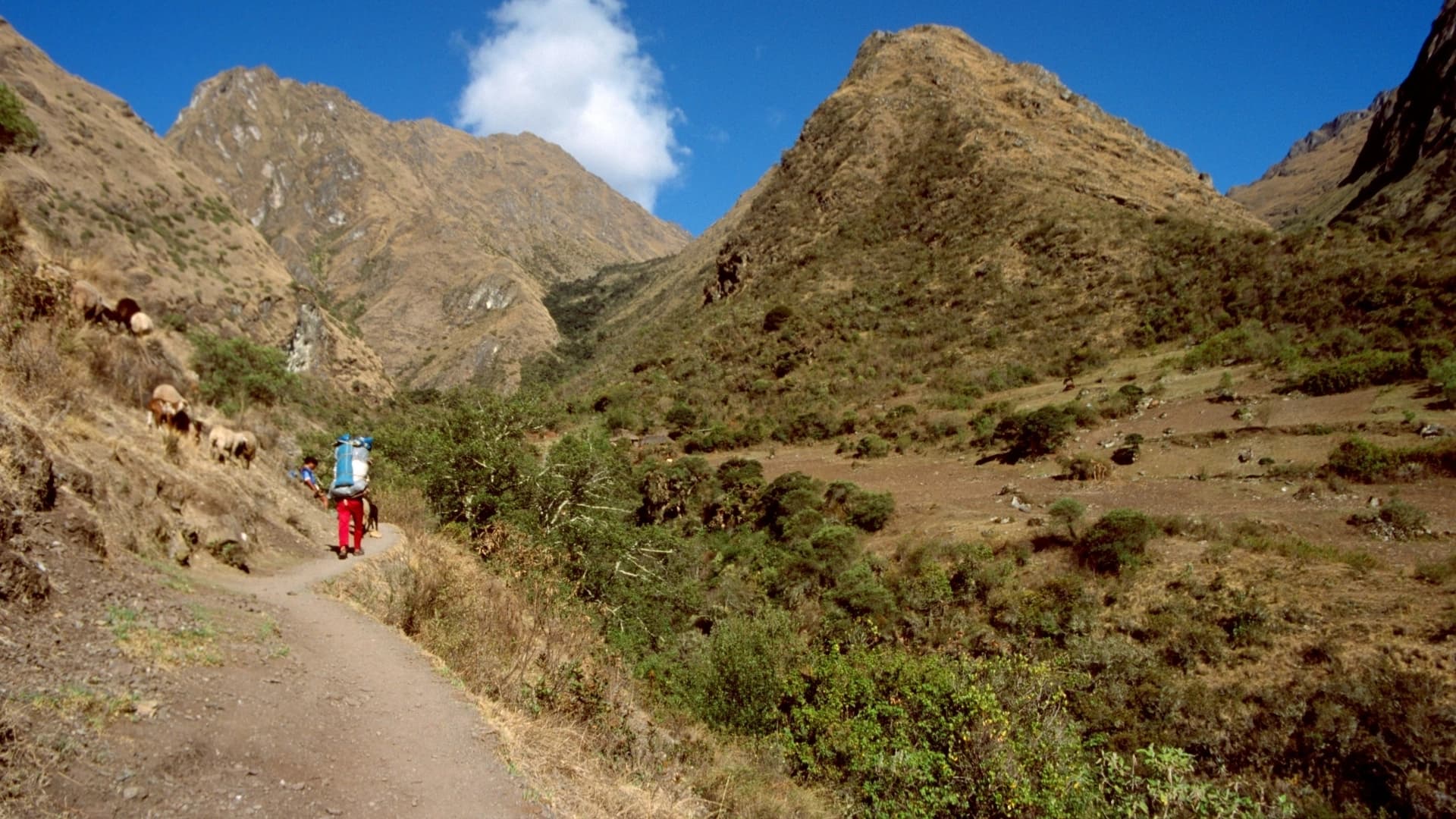 Camino Inca de 3 días y 2 noches a Machu Picchu